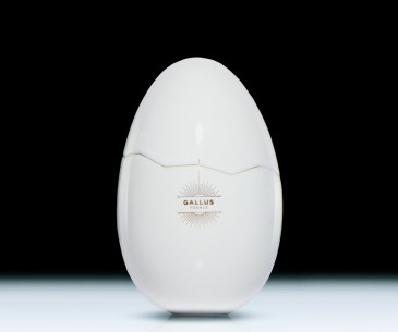 L’Œuf de Gallus